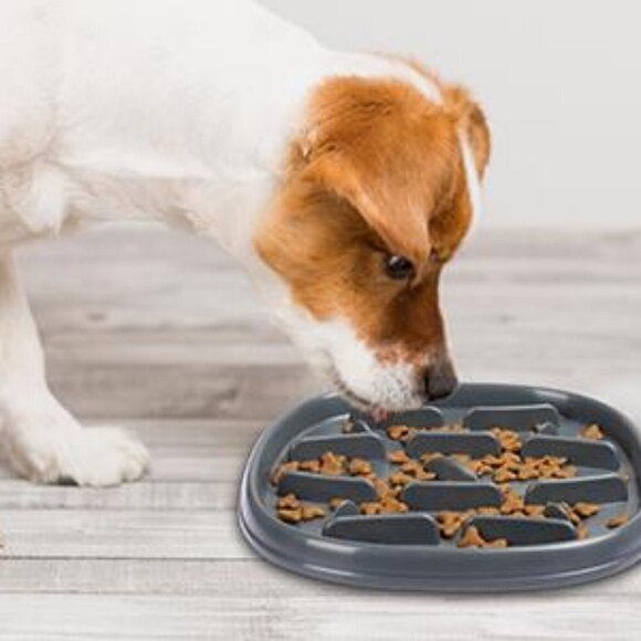 YUAKUOD SLOW FEEDER NON SLIP DOG BOWL NWT - Picture 2 of 11